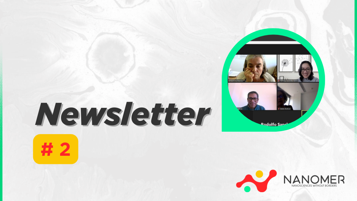 Nanomer newsletter 2