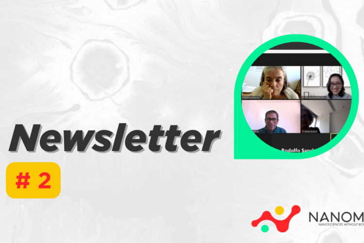 Nanomer newsletter 2
